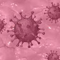 Infos zum Coronavirus